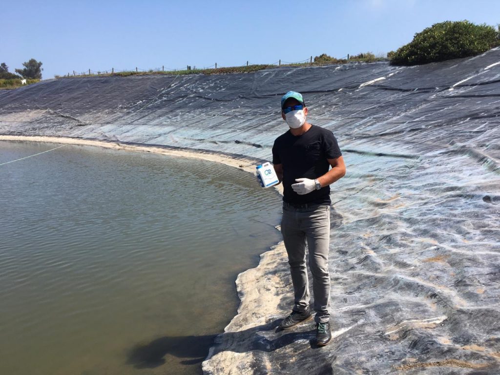 galeria o2 company 001