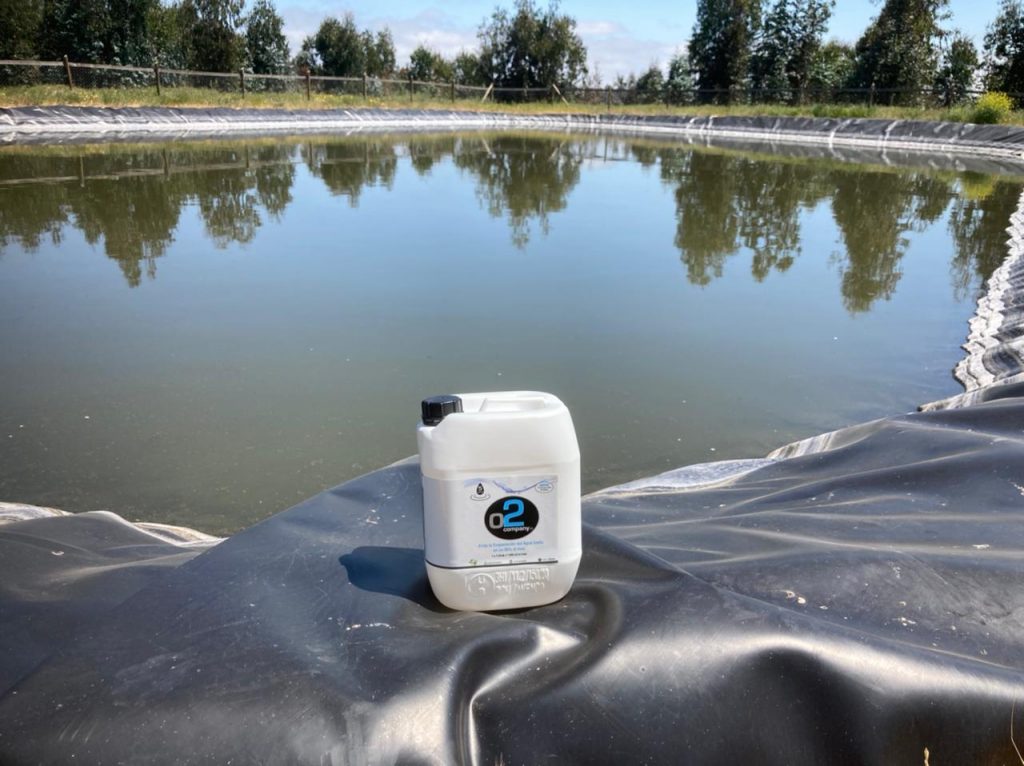 galeria o2 company 003