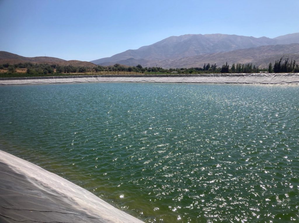 galeria o2 company 004