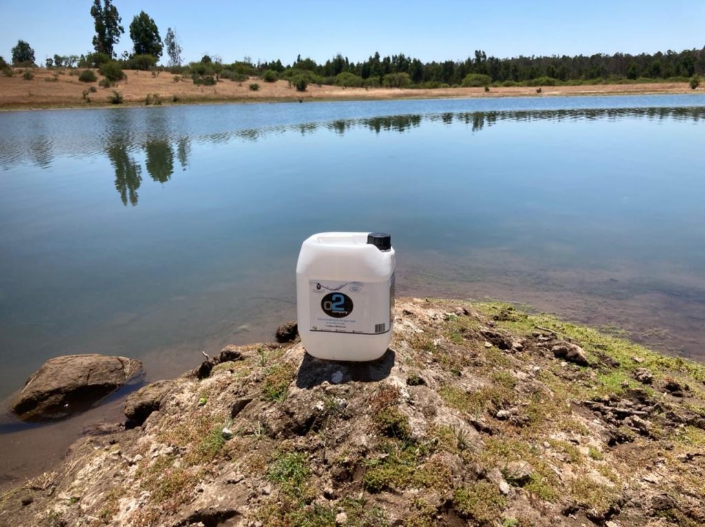 galeria o2 company 005