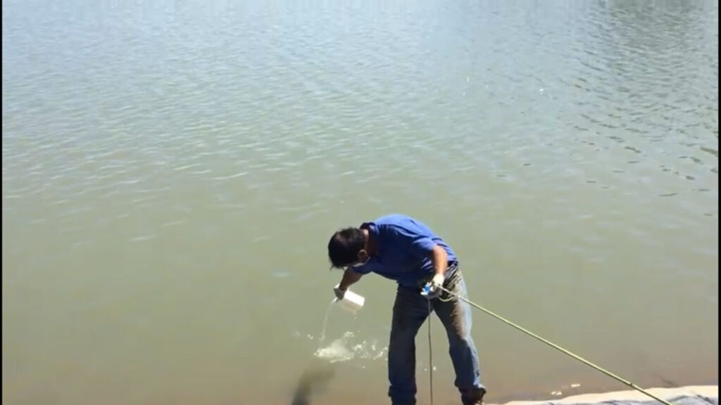 Galeria o2company_12