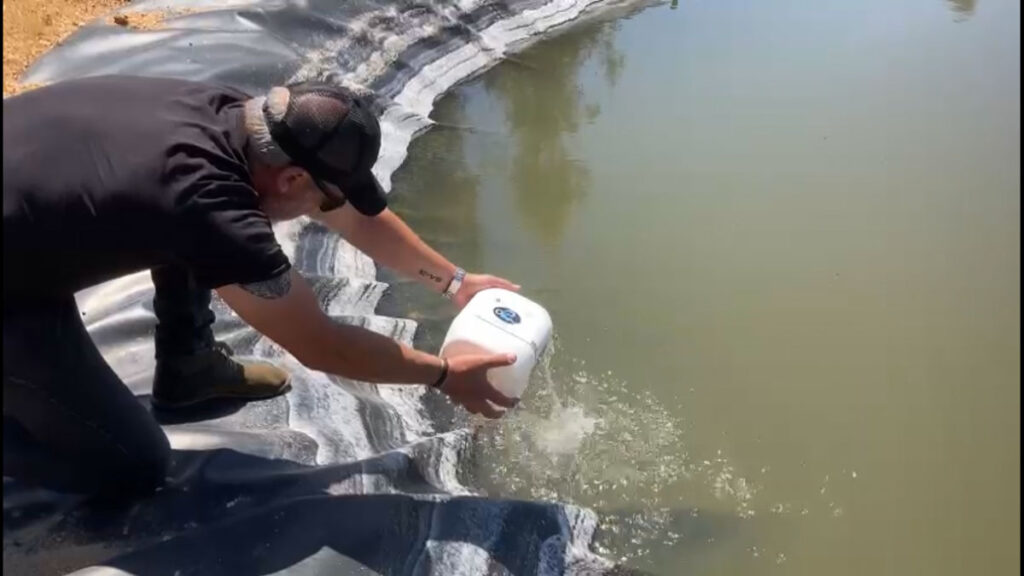 Galeria o2company_13