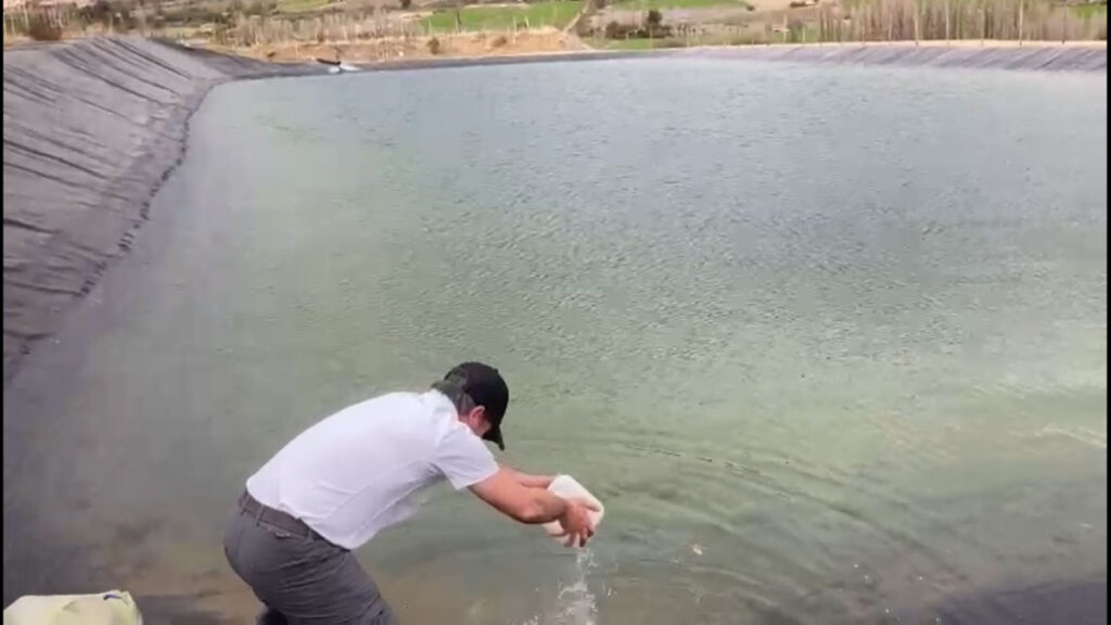 Galeria o2company_14